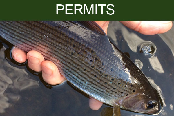 appleby angling association permits