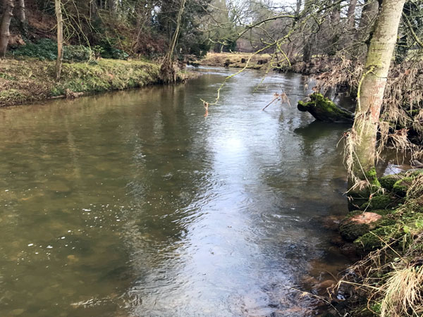 sandford fishing river eden
